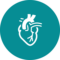 cardiology