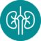 kidneys (1)